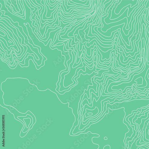 Topographic map, vector