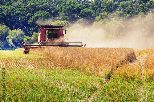 a combine harvester works in the field.
