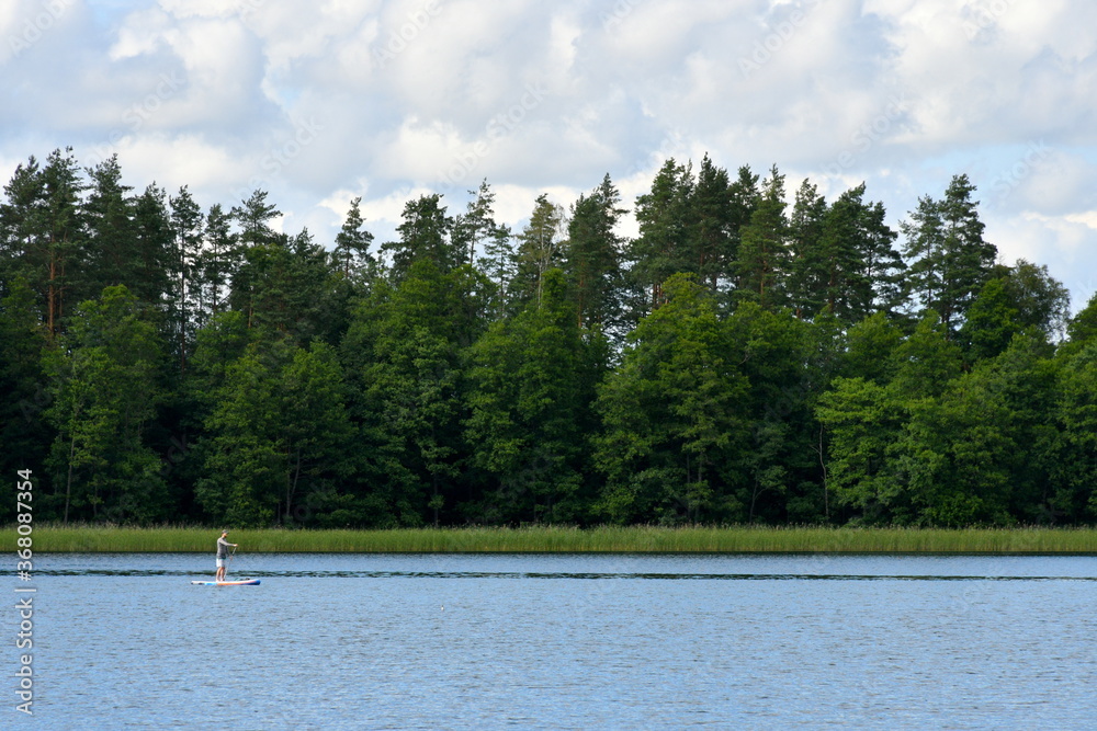 View of a shallow yet vast lake located next to a dense forest or moor with some reeds overgrowing the coast of the reservoir with a single person swimming on a small board with a paddle in his hand