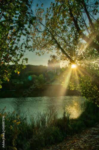 Bright Sun Beams Shining Through Trees. Magestic autumn sunset.