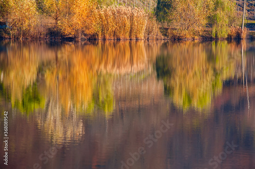 Colorful autumn forest with reflection in water of calm lake.