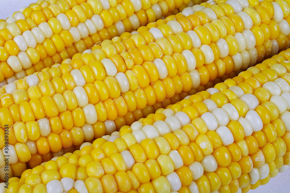 boiled corn on a white square plate, close-up, soft focus boiled corn on a white square plate, close-up, soft focus