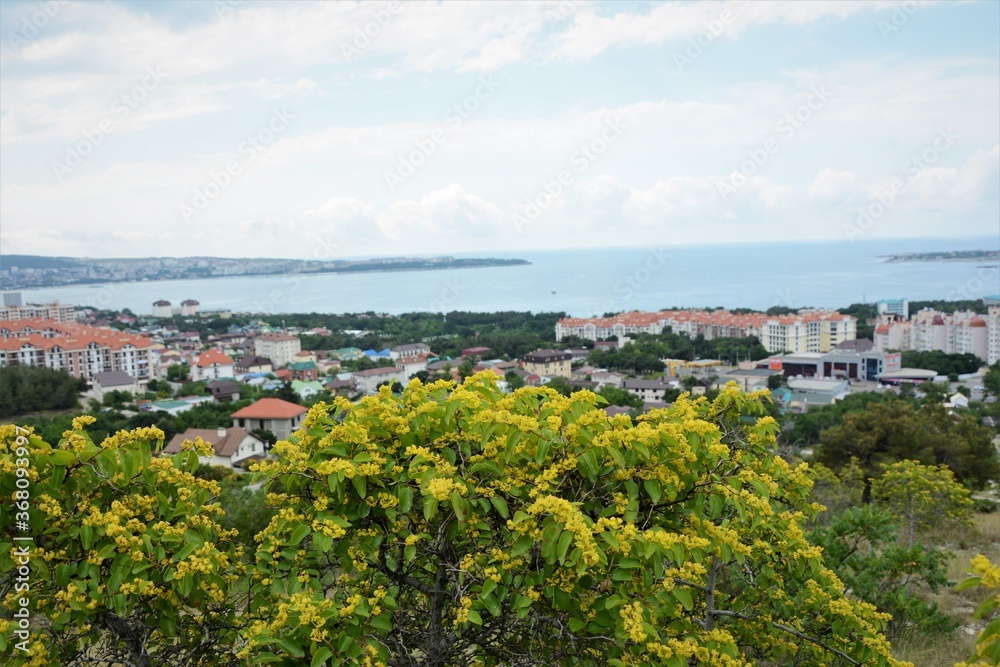 View of Gelendzhik Bay