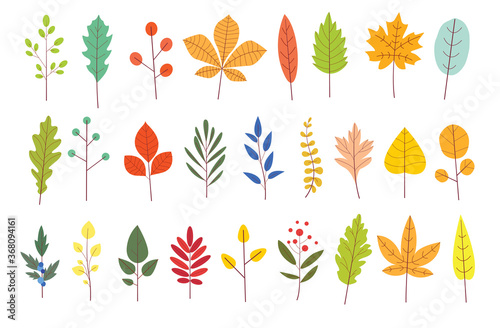 Set of colorful autumn leaves. Yellow autumnal garden leaf in simple cartoon flat style. Botanical vector forest plants.