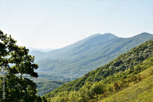 Markhotsky ridge in summer