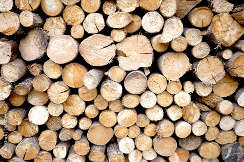 Texture of wood log pile background.