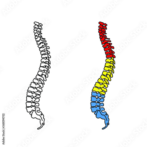 Vector human spine isolated silhouette illustration. Spine pain medical center, clinic, institute, rehabilitation, diagnostic, surgery logo element. Spinal icon symbol design. White background