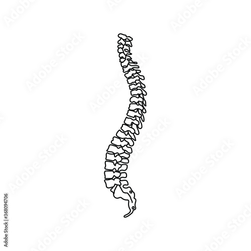 Vector human spine isolated silhouette illustration. Spine pain medical center, clinic, institute, rehabilitation, diagnostic, surgery logo element. Spinal icon symbol design. Concept of scoliosis