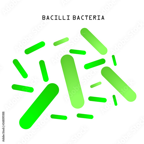 Blue rod-shaped bacilli bacteria close up view for your background. Illustrated vector