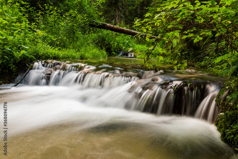 Smooth water cascade at Jelen wild river. Nature water landscape. Landscape park Solska forest at Roztocze, Poland, Europe.