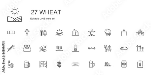 wheat icons set