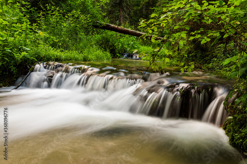 Smooth water cascade at Jelen wild river. Nature water landscape. Landscape park Solska forest at Roztocze  Poland  Europe.