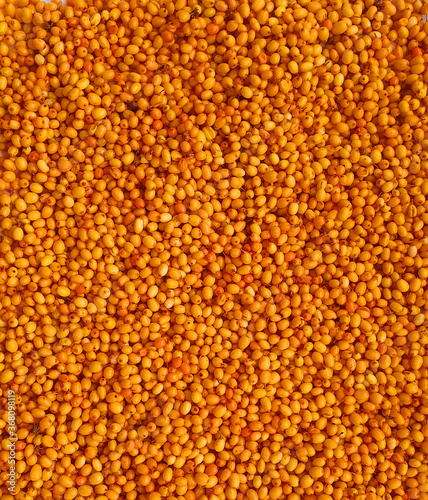 Sea buckthorn top view. Background of ripe autumn berries.