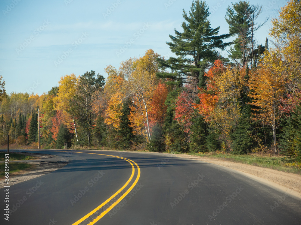 Fototapeta premium A road beside autumn-colored trees