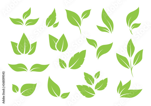 Green tree leaves. Various shapes of green leaves of trees and plants. Elements for eco and bio logos. Vector illustration.