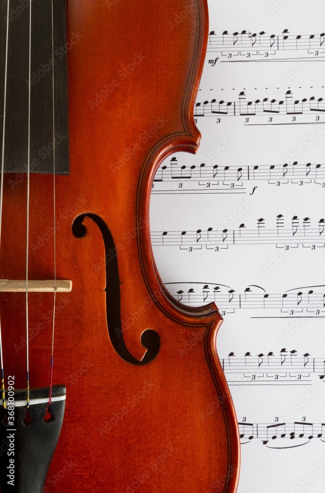 Fototapeta premium Violin.
