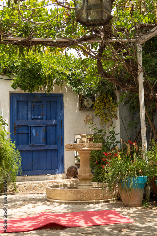 Cozy garden with different plants and fountain decorated with beautiful small blue door