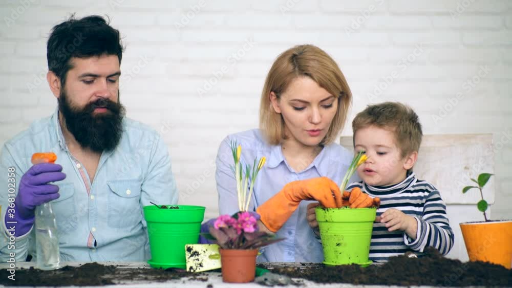 Father, mother and child plant flowers in pot. Happy family and potted plant concept. Father, mother and child plant flowers in pot. Happy family and potted plant concept.