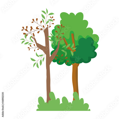 forest trees bushes grass leaves foliage branches cartoon design