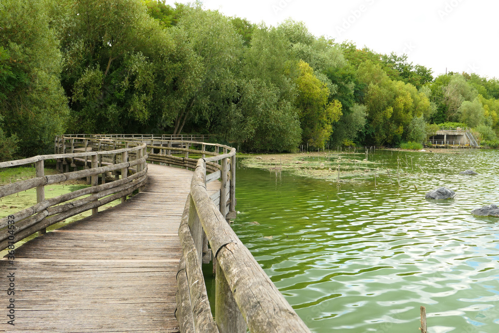 Long wooden bridge above the water. Landscape by the lake with the forest in the background. Summer scene.