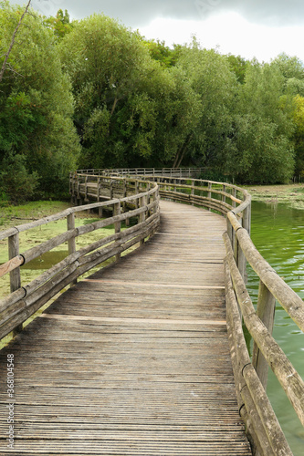 Long wooden bridge above the water. Landscape by the lake with the forest in the background. Summer scene.