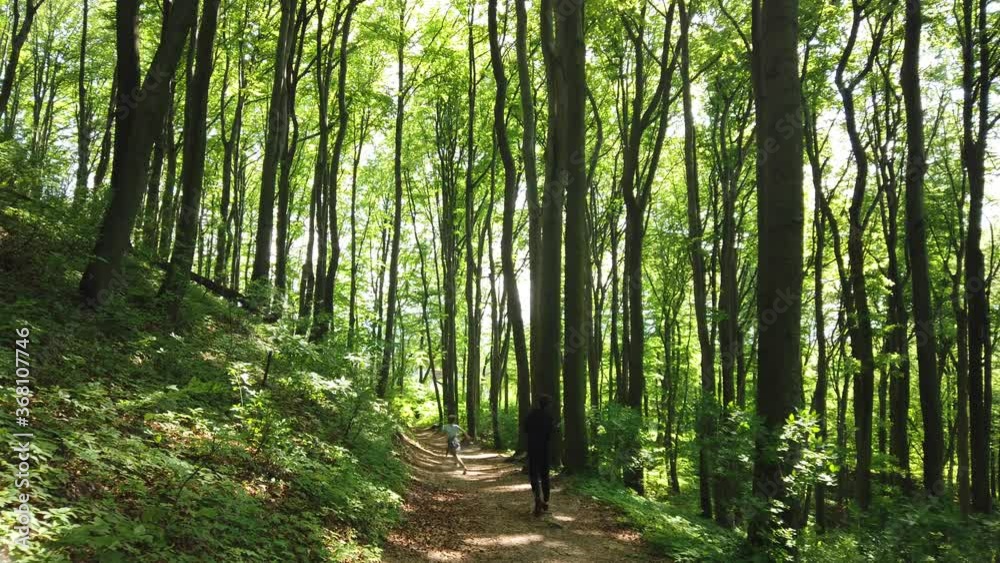 Brothers walk on the forest path. Brothers walk on the forest path.