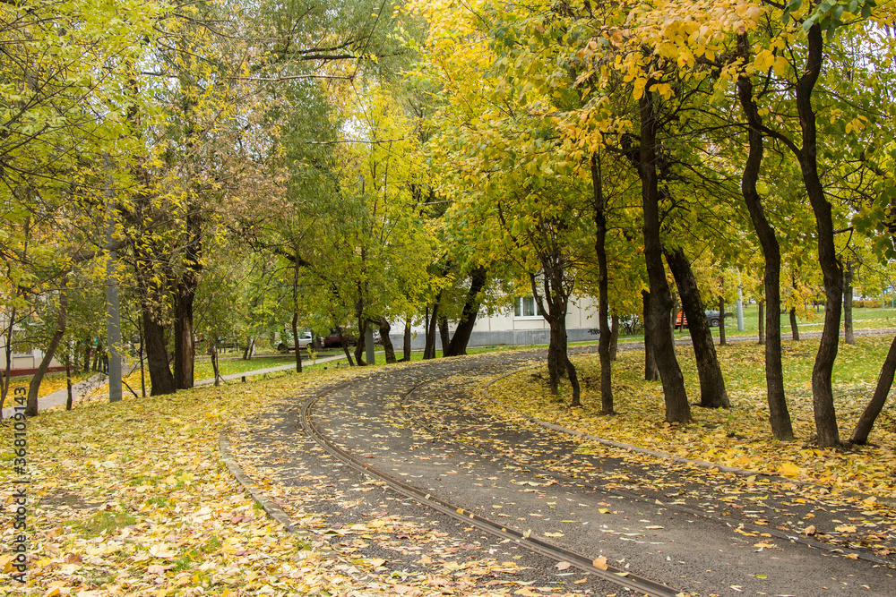 Tram line in autumn leaves, Moscow, Russia