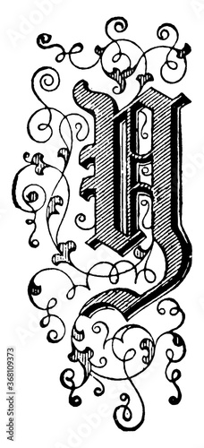 Y, Floral letter, vintage illustration.