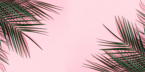Summer modern composition. Tropical green leaves of palm tree on pastel pink background. Flat lay, top view, copy space, banner
