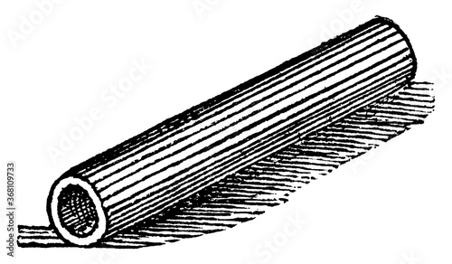 Pipe, vintage illustration