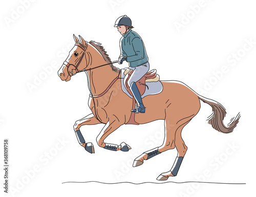 Advanced equestrian rider on a horse
