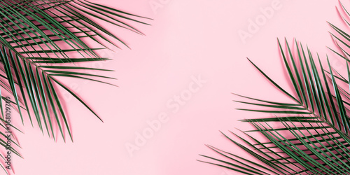 Summer modern composition. Tropical green leaves of palm tree on pastel pink background. Flat lay, top view, copy space, banner