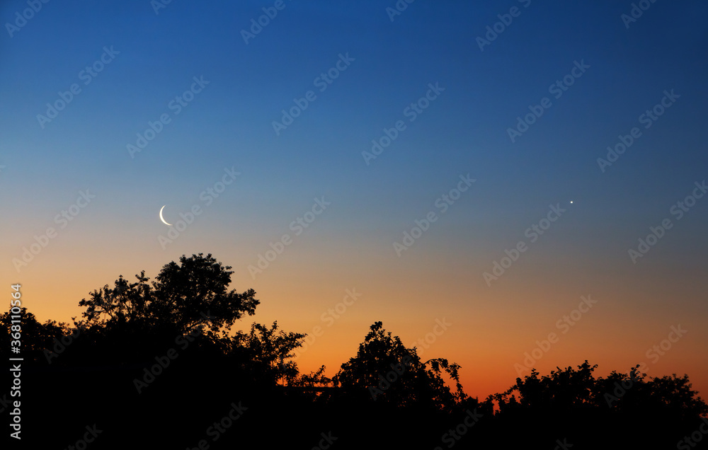 Venus and the crescent moon in the clear morning sky. Silhouettes of trees and the morning star at sunrise.