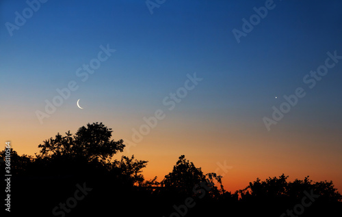 Venus and the crescent moon in the clear morning sky. Silhouettes of trees and the morning star at sunrise.