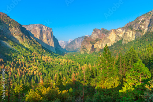 panorama at a scenic overlook in Yosemite National Park, California, United States. El Capitan, Half Dome and Bridalveil Fall from the iconic Tunnel View. American Holidays on the Road.