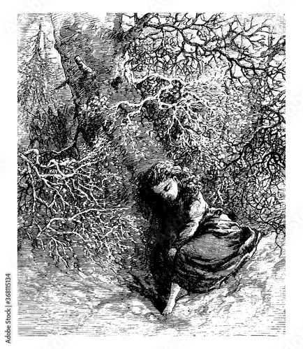 Major Waldron's Grand-Daughter, vintage illustration.