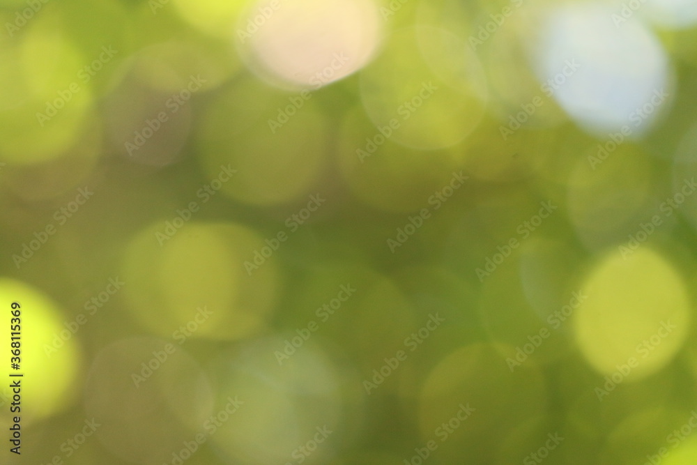 Obraz premium Beautiful green nature background, Sunlight shining through the leaves of trees, natural blurred background, Nature abstract background, nature green bokeh