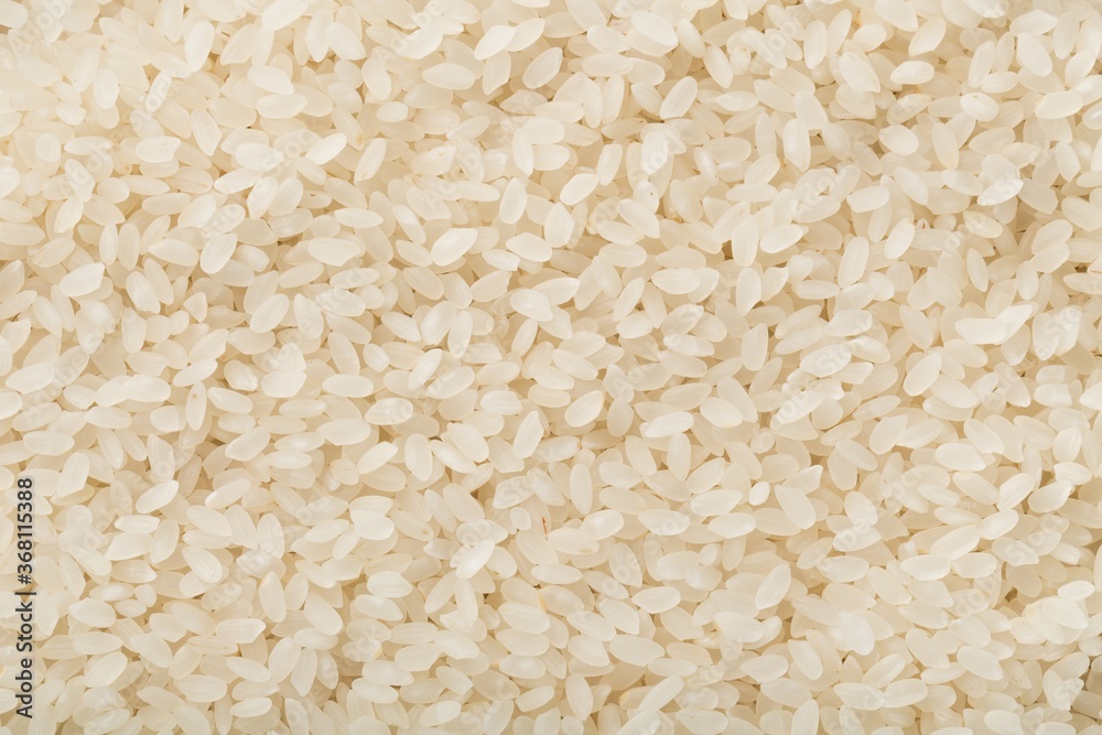 Rice. Rice.