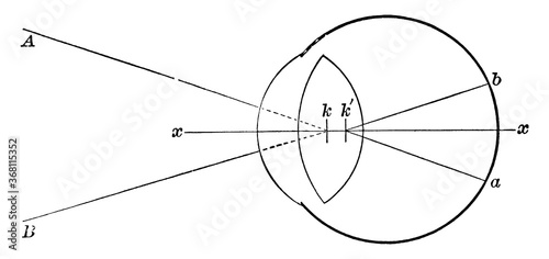 Retina, vintage illustration.
