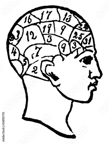 фотографія Phrenology, vintage illustration.