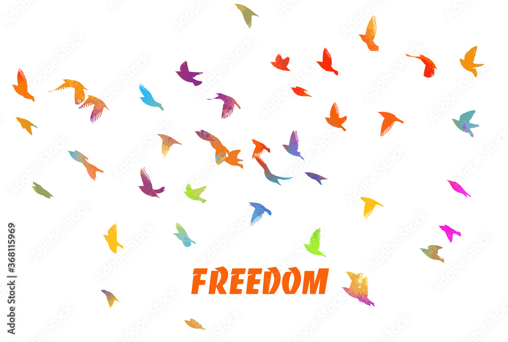 Bird watercolor. A flock of colorful birds. Freedom. Mixed media. Vector illustration