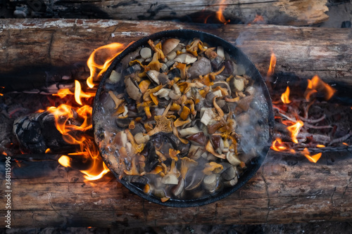 Fotografering Mushrooms chanterelles on pan. Cook on campfire