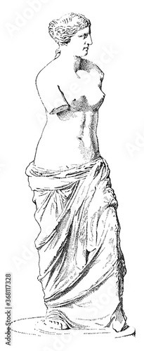 Fotografia Venus, vintage illustration