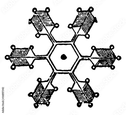 Snow Crystals, vintage illustration.