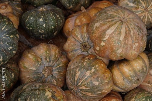 Pumpkin Vegetable Market Food Images & Pictures 