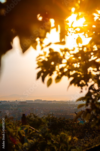 View of Ankara at sunset, Turkey, foggy sky, leaves with sun background