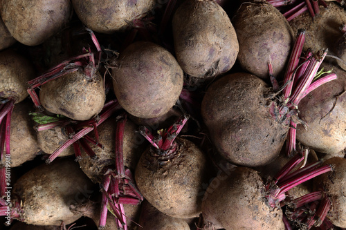 Fresh Harvested Beetroots Vegetable Market Food Images & Pictures  photo