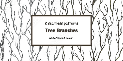 Two seamless patterns with dead tree branches in colour and black and white vector