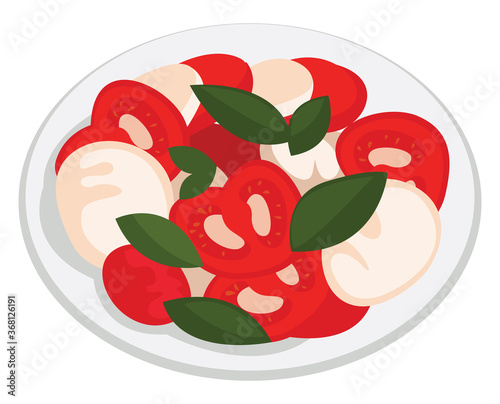Caprese salad, illustration, vector on white background