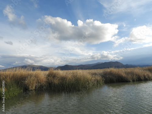 clouds over the lake filled with reed